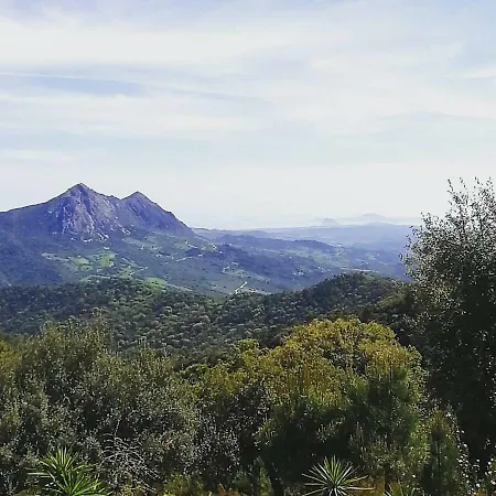 Bella Vista